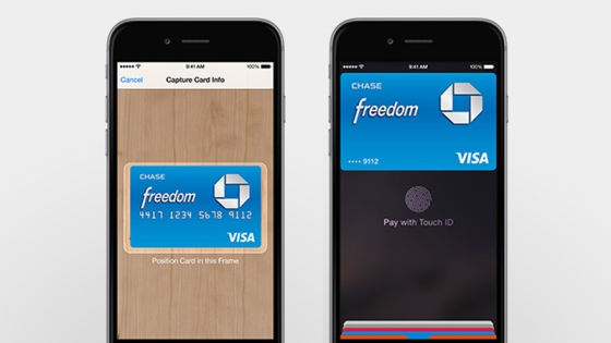 Apple Pay Interface