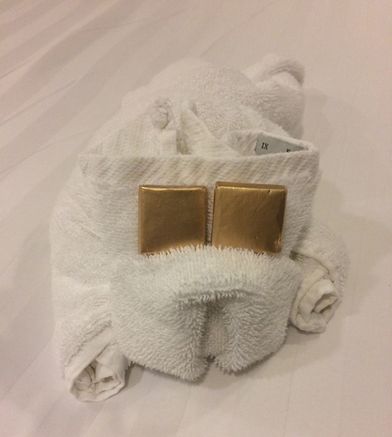 Towel Dog